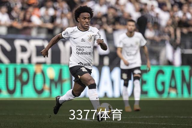3377体育公司简介